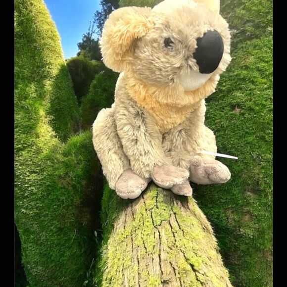 Plush Koala Bear - Picture 1 of 4